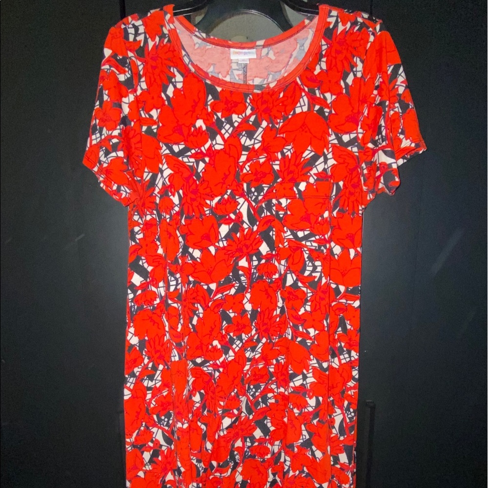 Lularoe Carly!